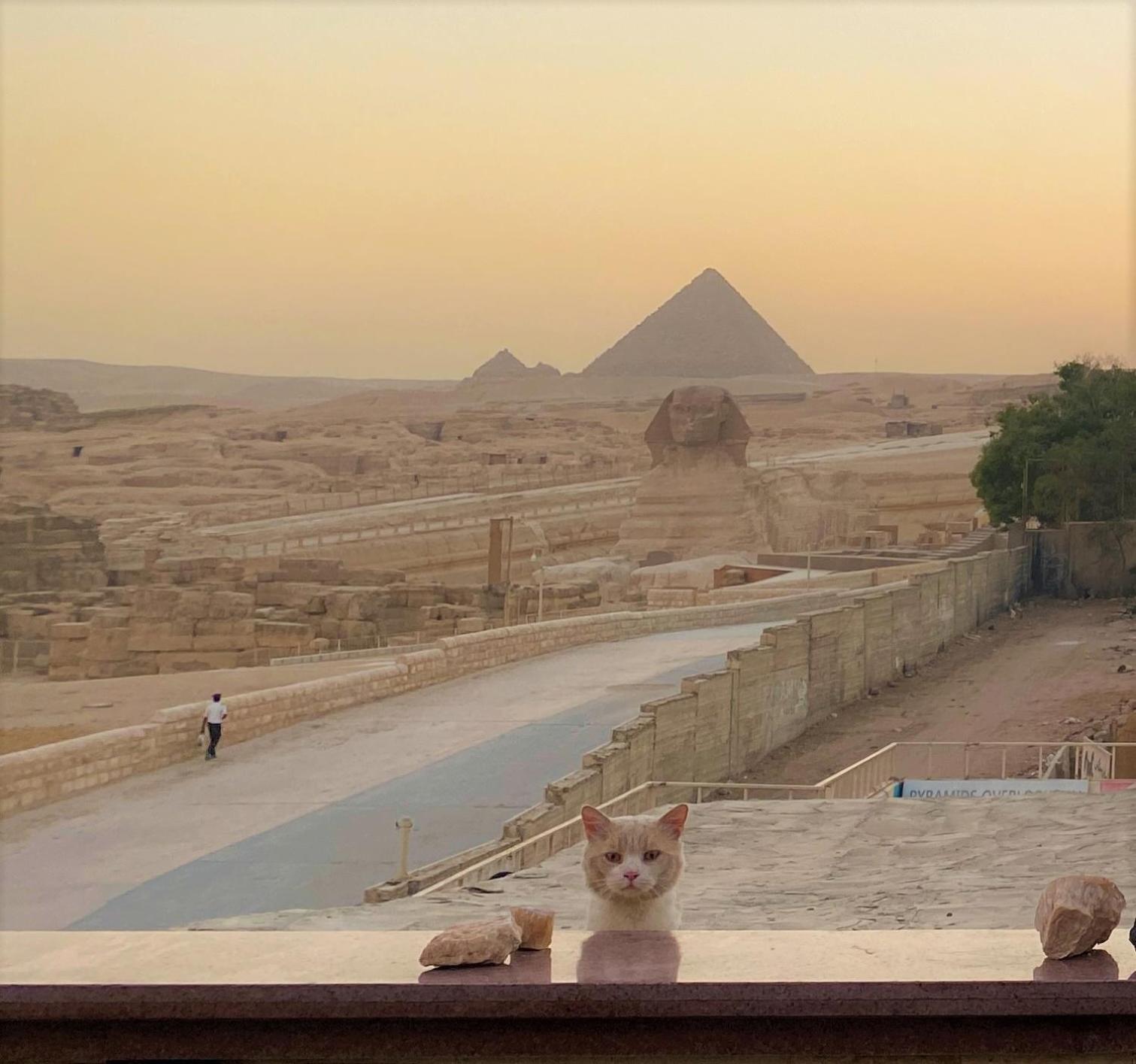 Seven Pyramids Panoramic View Inn Kafret el-Gabal Extérieur photo